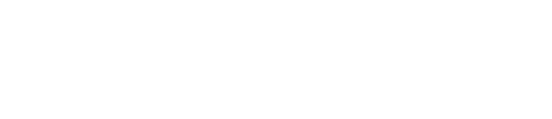 DBVC - Deutscher Bundesverband Coaching - zertifiziert als Professional Coach